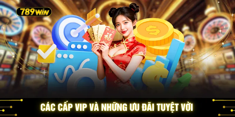 Các cấp VIP và những ưu đãi tuyệt vời